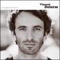 Vincent Delerm - Les Piq?res d'Araign?e lyrics